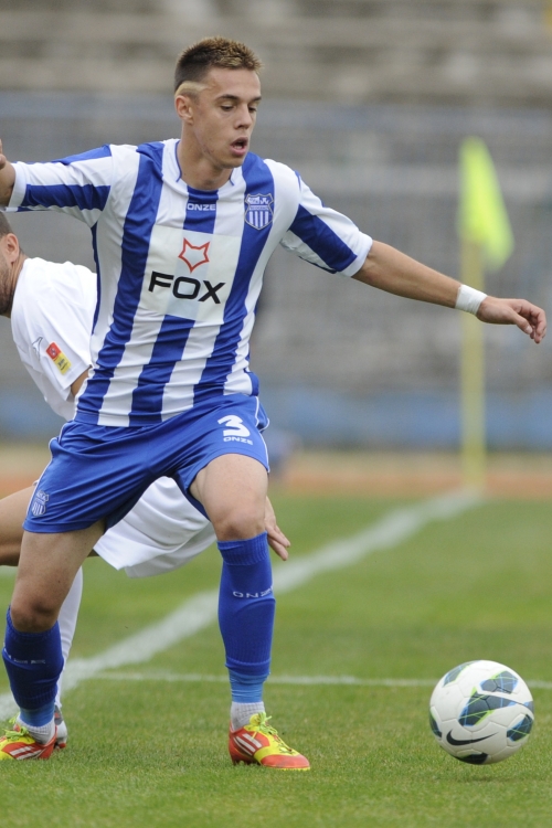 Milan Rodić