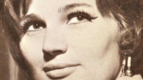 Silvana Armenulić