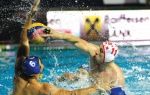 Vaterpolo Zvezda