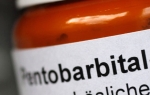 Pentobarbital