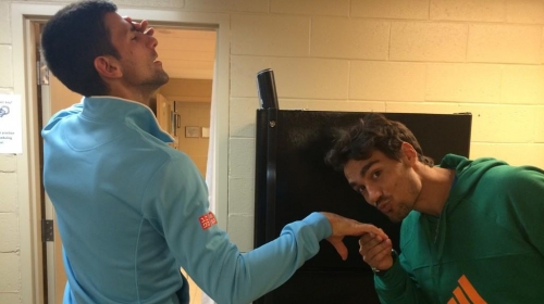 budala Djokovic