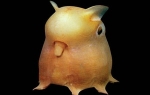 Jel ste gledali Pokemone? Liči, zar ne?