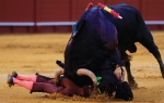 Matador