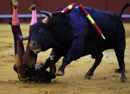 Matador