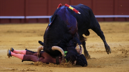 Matador