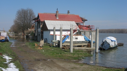 Sava Šabac