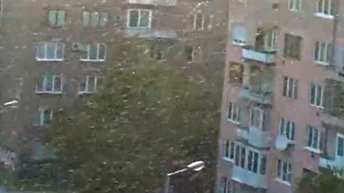 Nakon Kraljeva, rojevi  mušica juče protutnjali  i Sarajevom