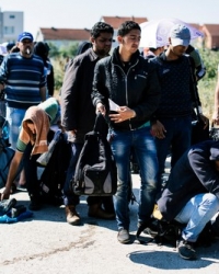 Migranti