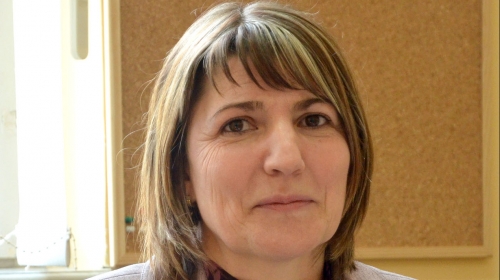 Direktorka škole, Slađana Miladinović