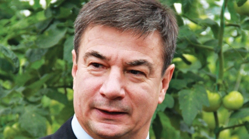 Goran Knežević