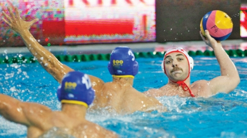 Šampionski  brka: Boris  Vapenski