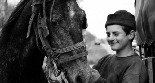 Srbija koja nestaje / Foto: Goran Stamenković | Foto: 