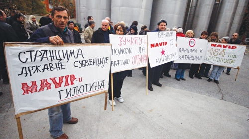 Samo su „Navipovi”  vinogradi vredeli oko 30  miliona evra, a firma je prodata za manje od šest miliona