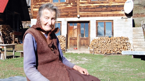 Danica Ćirović