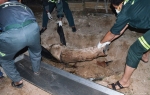 Fahrudin i Sejida  Muratović ubijeni  i zakopani u vrtu  njihove vile na  Crvenom moru.  Policija sumnja  na čuvara kuće