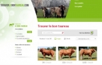 trouverlebontaureau.com