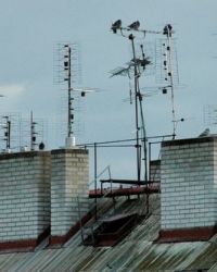 TV antena antene krov digitalizacija | Foto: Profimedia