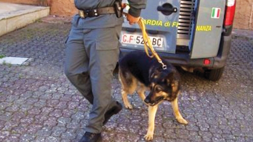 Nanjušio kokain