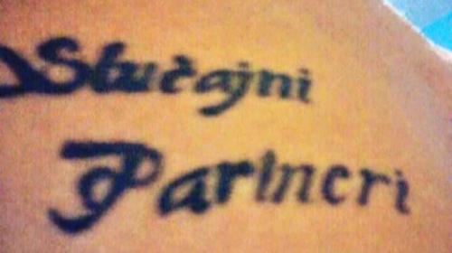 Sekin fan