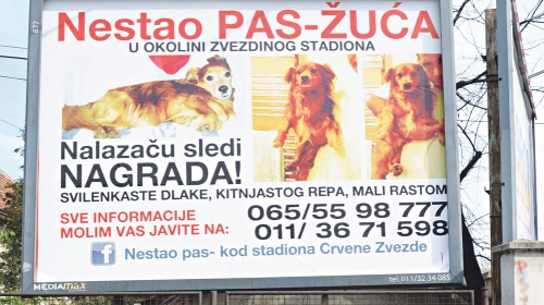 Javite ako ga vidite!