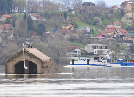 Poplave