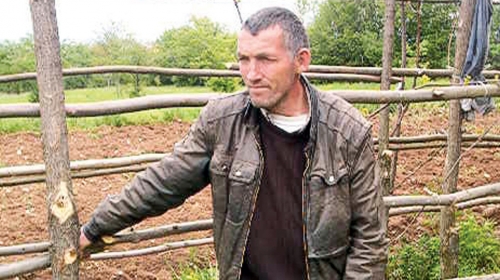 Nema kuda  da ode:  Pavlović