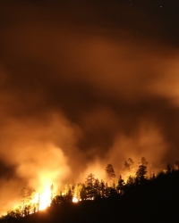 Šumski požar / foto Profimedia