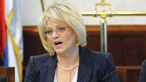 Domaći zadatak za Vladu: Jorgovanka Tabaković