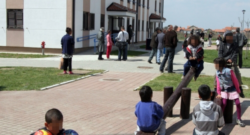 Zemun polje