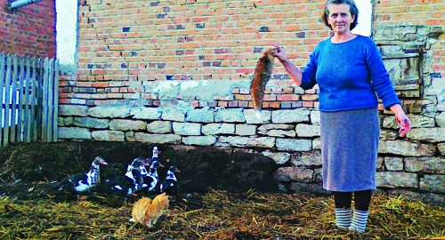 Nada Perišić / Foto: Ana Tomović | Foto: 