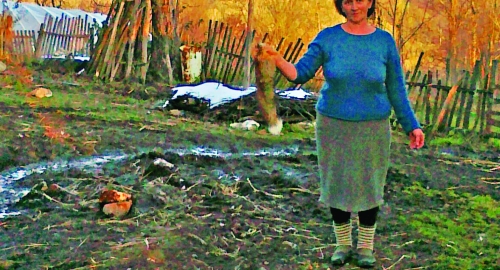 Nada Perišić / Foto: Ana Tomović | Foto: 