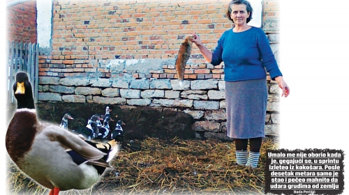 Nada Perišić