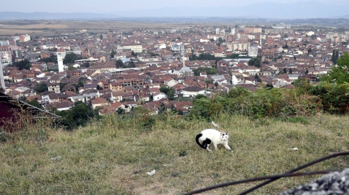 Đakovica