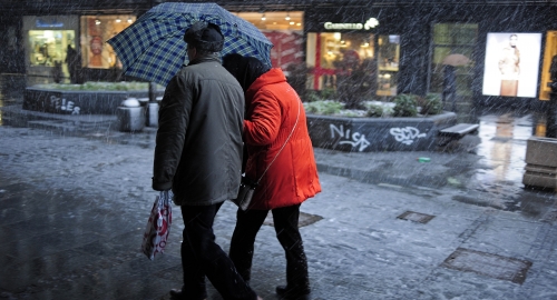 Vejavica u Beogradu | Foto: Dušan Milenković