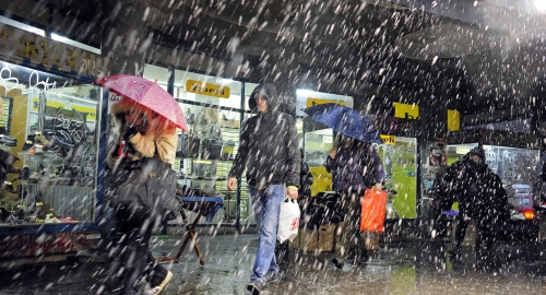 Vejavica u Beogradu | Foto: Goran Srdanov