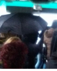Autobus