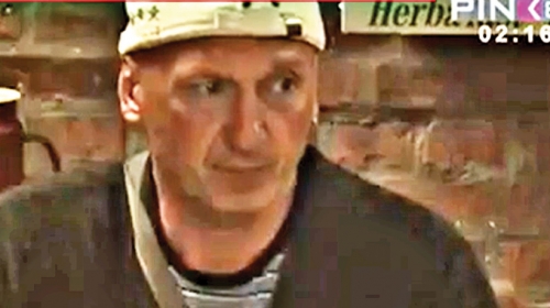 Miki Mećava