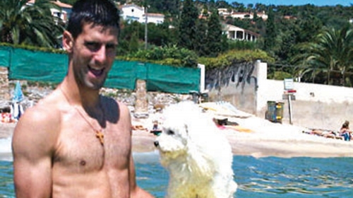Novak i Pjer