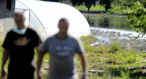 Porodica Nikolić sada ima samo gole zidove / Foto: Vesna Lalić | Foto: 