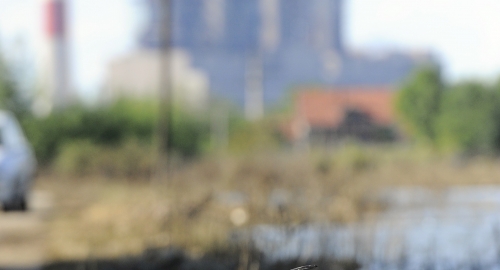 Porodica Nikolić sada ima samo gole zidove / Foto: Vesna Lalić | Foto: 