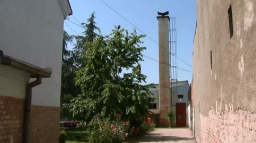 pančevo