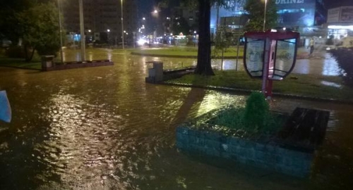 Loznica pod vodom