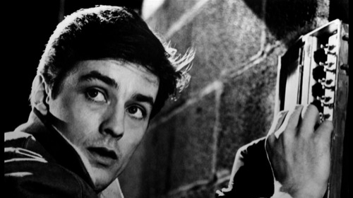 Alen Delon
