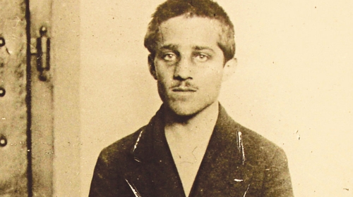 Princip je protrljao oči. Nije mogao da veruje da je ispred njega Franc Ferdinand, rekao je svedok
