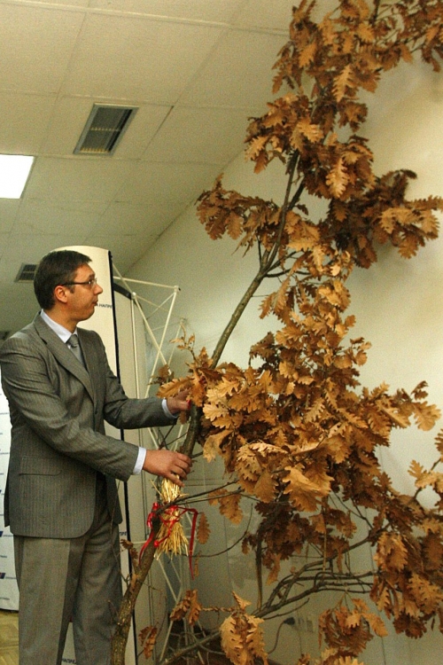 Vučić badnjak Foto: Fonet