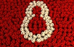8. mart