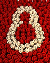 8. mart