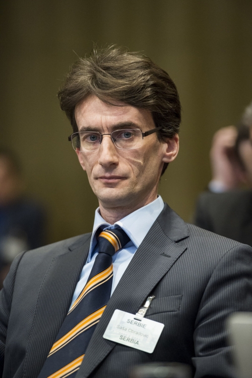 Saša Obradović