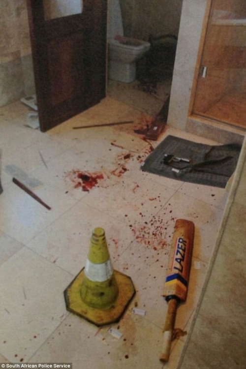 pistorijus Foto: South African Police Service