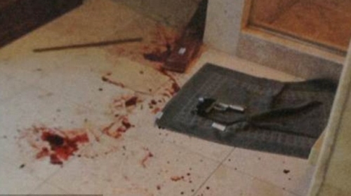 pistorijus Foto: South African Police Service